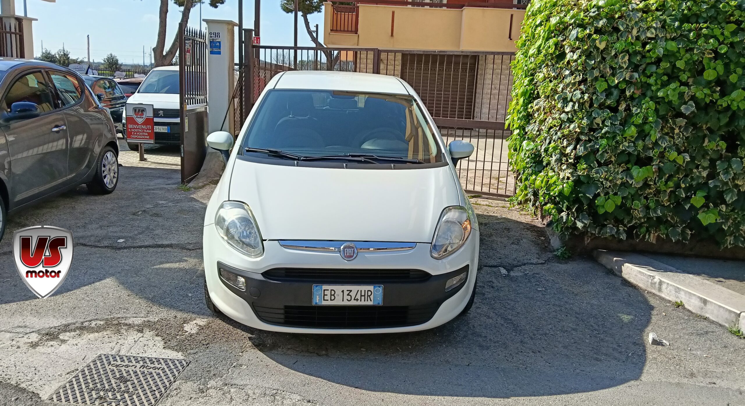 FIAT PUNTO - immagine 2